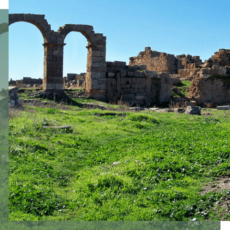 le site archéologique de Khemissa-souk-ahras45